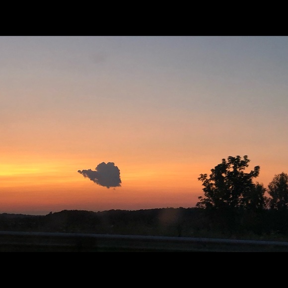 Meet your Posher, Kyrie - Picture 7 of 12